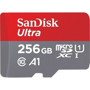 SanDisk Ultra microSDHC 256 GB SDSQUA4-256G-GN6MA
