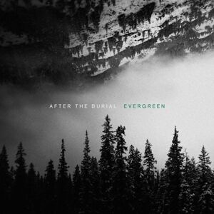 After the Burial - Evergreen (LP)