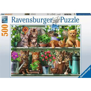 Ravensburger Puzzle Mačky na poličkách medzi kvetmi 500 dielov
