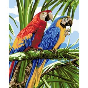 Gaira Maľovanie podľa čísiel Papagáje
