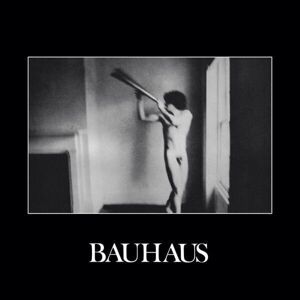 Bauhaus In The Flat Field  (LP) Nové vydanie