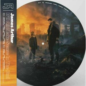 James Arthur - It'll All Make Sense In The End (Picture Disc) (2 LP)