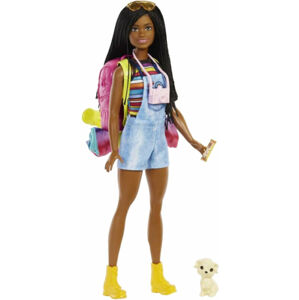 Mattel Barbie Dreamhouse Adventures Kempujúca bábika Brooklyn