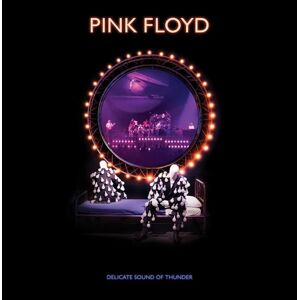 Pink Floyd Delicate Sound Of Thunder (Remixed) (2 CD)