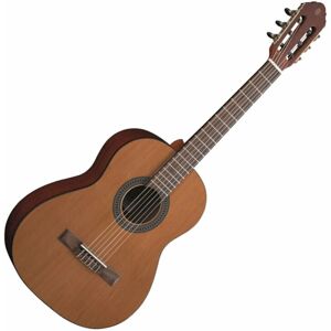 Eko guitars Vibra 75 3/4