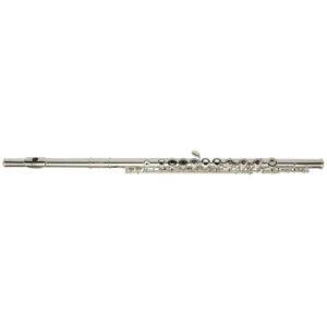 Roy Benson FL-402R Koncertná priečna flauta