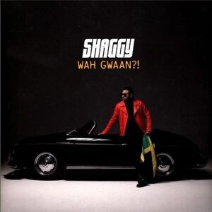 Shaggy - Wah Gwaan?! (2 LP)