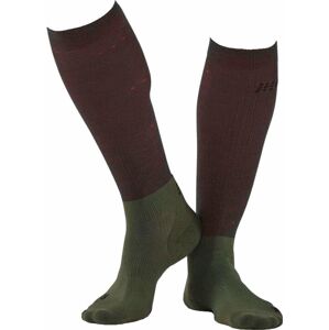 CEP WP30T Recovery Tall Socks Men Forest Night V Bežecké ponožky