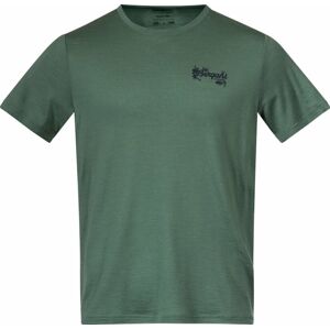 Bergans Graphic Wool Tee Dark Jade Green/Navy Blue S
