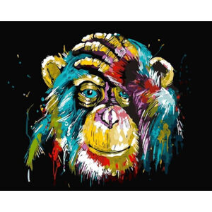 Gaira Maľovanie podľa čísiel Šimpanz
