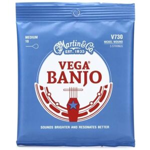 Martin V730 Vega Banjo