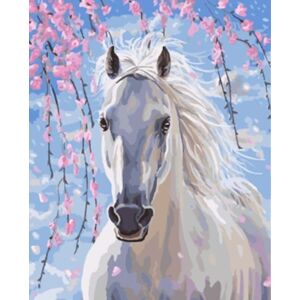 Gaira Maľovanie podľa čísiel Biely kôň