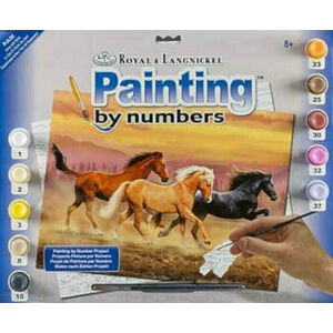 Royal & Langnickel Maľovanie podľa čísel Kone