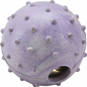 Gimborn IT Colored Ball Lopta pre psov 6,5 cm