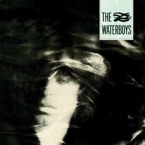 The Waterboys The Waterboys (LP) Nové vydanie