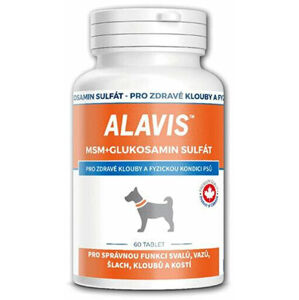 Alavis MSM + Glukosamin