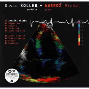 Michal Ambrož & David Koller Srdecni Pribeh (LP)