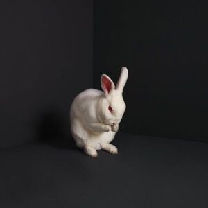 Brume Rabbits (LP)