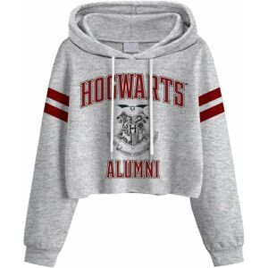 Harry Potter Mikina Hogwarts Alumni Ladies S Grey