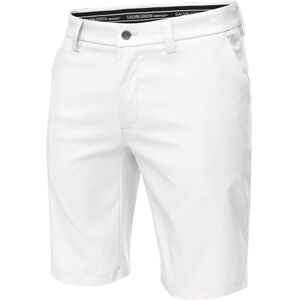 Galvin Green Paolo Ventil8+ Mens Shorts White 40