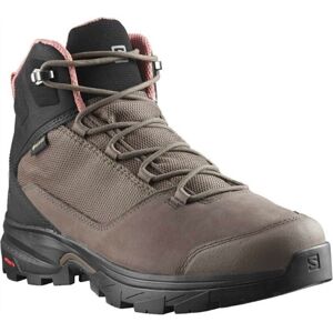Salomon OUTward GTX W Peppercorn/Black/Brick Dust 38 Dámske outdoorové topánky
