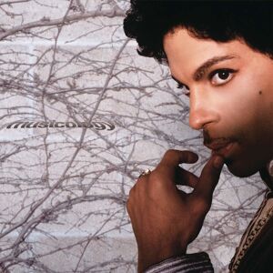 Prince - Musicology (Purple Coloured) (Gatefold Sleeve) (2 LP)