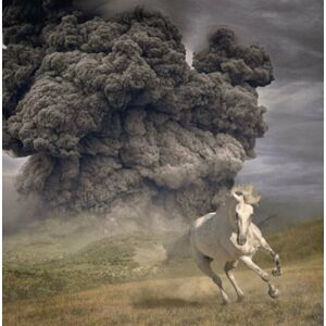 The White Buffalo - Year Of The Dark Horse (LP)