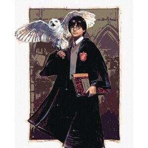 Zuty Maľovanie podľa čísiel Harry Potter a Hedviga v Rokforte