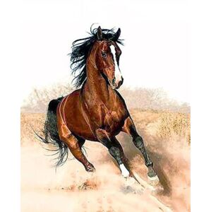 Gaira Maľovanie podľa čísiel Cválajúci kôň